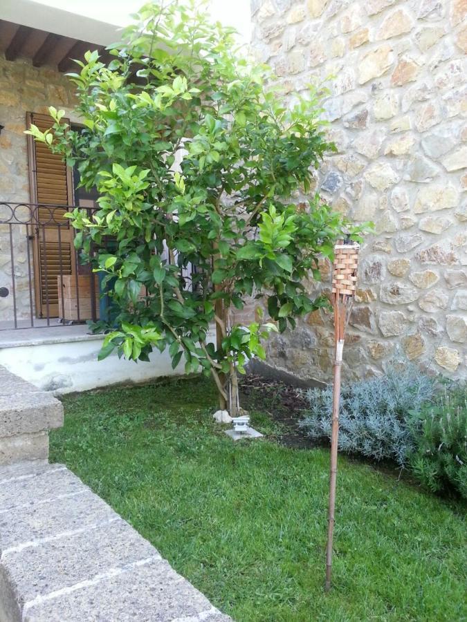 Il Poggio Da Leo Apartment Capanne Bagian luar foto